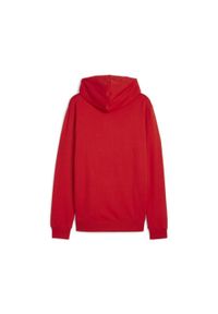 Bluza sportowa męska Puma B23606. Typ kołnierza: kaptur. Kolor: czerwony