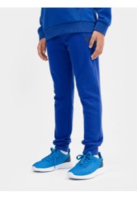 4f - Spodnie dresowe joggery chłopięce. Kolor: niebieski. Materiał: dresówka. Sezon: wiosna #2