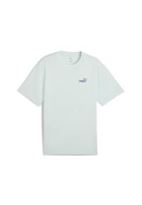 Puma - Męska koszulka sportowa Graphics Summer PUMA Peaceful Blue. Kolor: niebieski. Materiał: guma. Wzór: nadruk. Sezon: lato