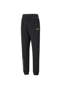 Puma Spodnie Winterized 84820201. Kolor: czarny