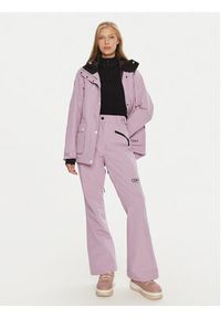 Colourwear Spodnie narciarskie Cork Pant 7010322 Różowy Regular Fit. Kolor: różowy. Materiał: syntetyk. Sport: narciarstwo #3
