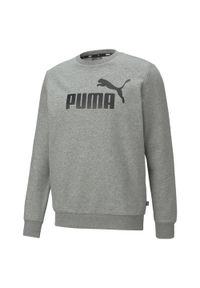 Bluza Puma ESS Big Logo Crew, Mężczyźni. Kolor: szary. Materiał: materiał, bawełna