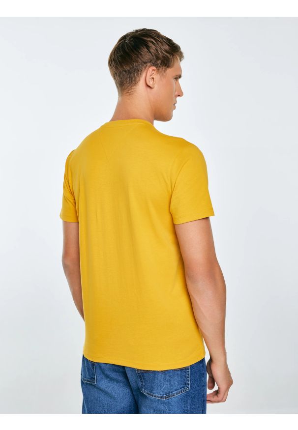 Big-Star - Koszulka męska z nadrukiem żółta Mifer 201. Kolor: żółty. Materiał: bawełna, dzianina, jeans. Wzór: nadruk. Styl: klasyczny