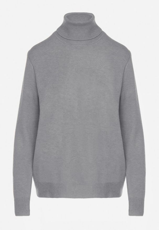 Born2be - Szary Casualowy Golf z Wełną o Prostym Kroju Reiselia. Okazja: na co dzień. Typ kołnierza: golf. Kolor: szary. Materiał: wełna. Styl: casual