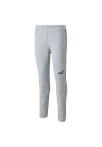 Spodnie męskie Puma Teamfinal Casuals Pants. Kolor: szary, wielokolorowy, czarny. Materiał: syntetyk, materiał. Sport: bieganie, piłka nożna #1