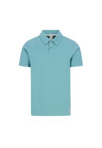 Polo Protest Cube. Typ kołnierza: polo. Kolor: wielokolorowy, niebieski, zielony #1