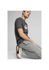 Puma - Męskie spodnie dresowe Essentials z logo No. 1 PUMA Medium Gray Heather. Kolor: szary. Materiał: dresówka