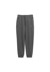 PITBULL - Spodnie męskie Pitbull Lancaster 2 Track Pants. Kolor: szary