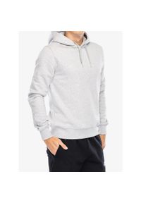 Bluza z kapturem męska Didriksons Ven Hoodie. Typ kołnierza: kaptur. Kolor: szary