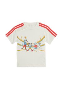 Adidas - Koszulka adidas x Disney Mickey Mouse. Kolor: wielokolorowy, czerwony, szary. Materiał: bawełna. Wzór: motyw z bajki