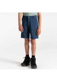 DARE 2B - Krótkie spodenki dla dzieci. Okazja: na spacer. Kolor: niebieski. Materiał: elastan, poliamid. Długość: krótkie. Styl: sportowy. Sport: turystyka piesza #1