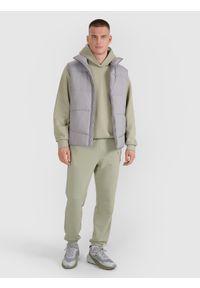 4f - 4F Bezrękawnik puchowy z wypełnieniem syntetycznym męski - szary XL. Okazja: na co dzień. Kolor: szary. Materiał: syntetyk, puch. Długość rękawa: bez rękawów. Długość: długie. Styl: casual, klasyczny, sportowy #2