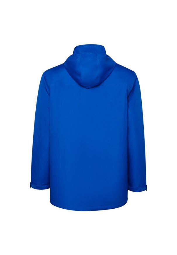 ROLY - Męska Ocieplana Parka America. Kolor: niebieski. Materiał: puch. Sport: turystyka piesza