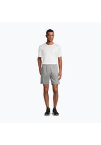 Fila - Spodenki męskie FILA Lich Sweat. Kolor: szary. Sport: turystyka piesza