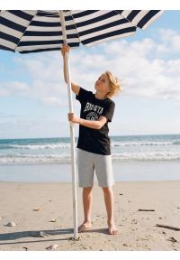 Big-Star - Szorty chłopięce dresowe szare Doner 901. Kolor: szary. Materiał: dresówka. Wzór: haft. Styl: sportowy, klasyczny #3