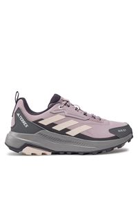 Adidas - adidas Trekkingi Terrex Anylander Rain.Rdy ID3471 Fioletowy. Kolor: fioletowy. Materiał: mesh, materiał