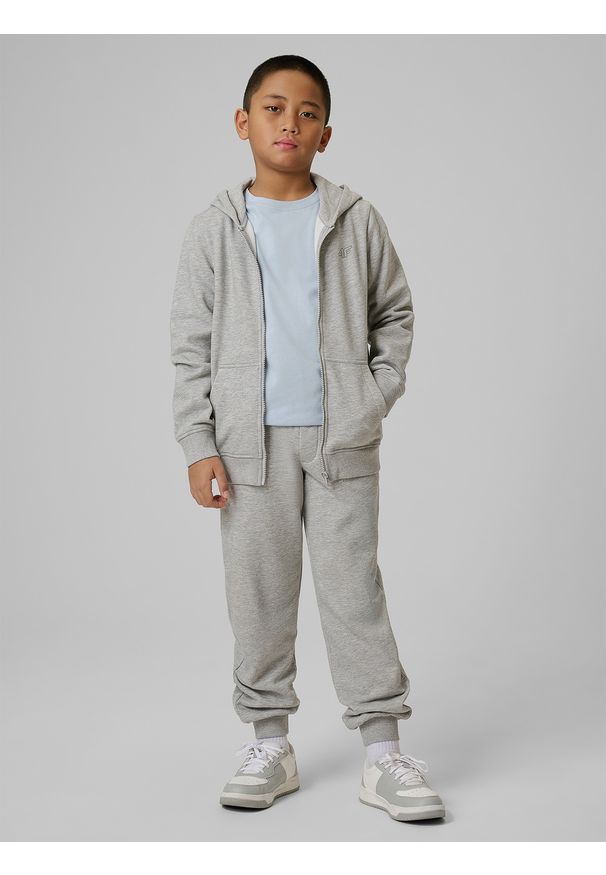 4f - 4F T-shirt regular gładki chłopięcy - niebieski 146 (10-11 lat). Okazja: na spacer, na co dzień, na uczelnię. Kolor: niebieski. Materiał: bawełna, jeans, materiał, dresówka. Wzór: gładki. Sezon: lato. Styl: casual, klasyczny