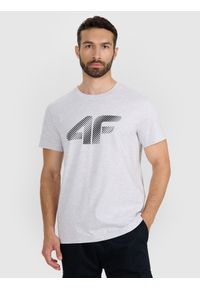 4f - 4F T-shirt regular z nadrukiem męski - szary 3XL. Okazja: na co dzień. Kolor: szary. Materiał: dzianina, bawełna, jersey. Długość rękawa: krótki rękaw. Długość: krótkie. Wzór: nadruk. Styl: klasyczny, sportowy, casual