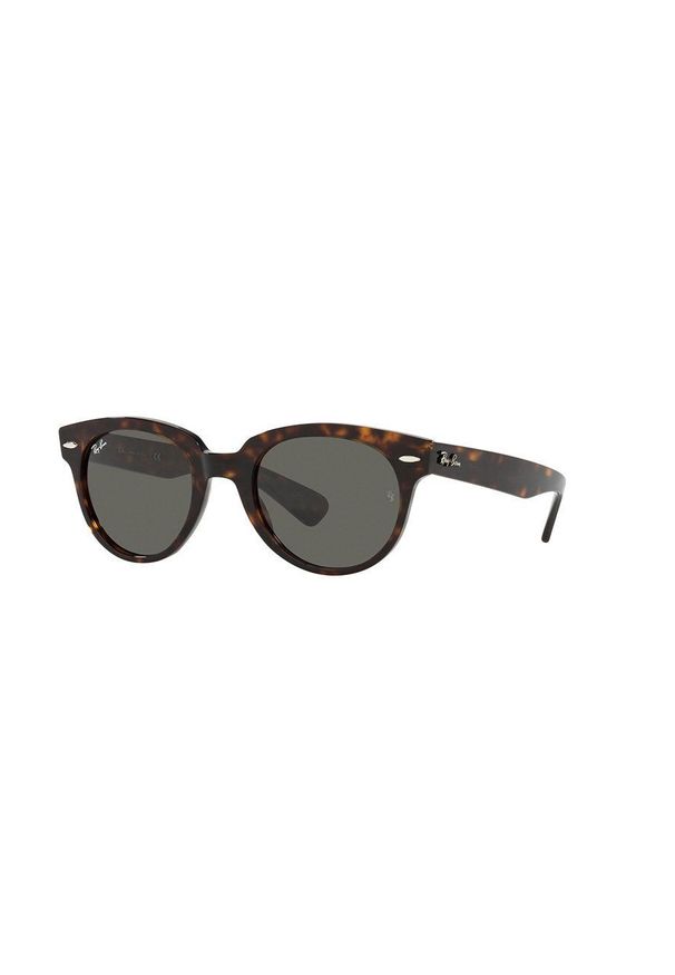 Ray-Ban - Okulary przeciwsłoneczne ORION. Kształt: okrągłe. Kolor: brązowy