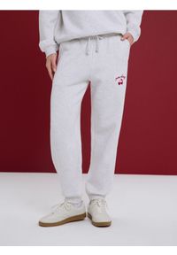 Sinsay - Spodnie dresowe jogger - Inny. Materiał: dresówka #1