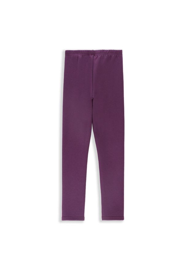 Legginsy dziecięce turystyczne ocieplane Lemon Explore ZL4. Kolor: fioletowy. Materiał: elastan, poliester, bawełna. Sezon: zima. Styl: sportowy