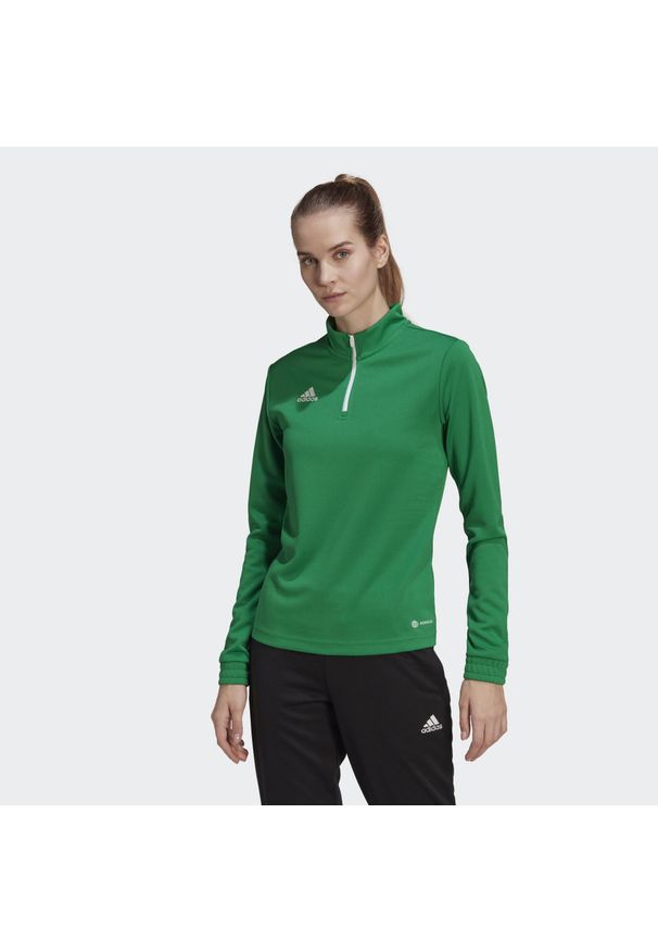 Bluza piłkarska damska Adidas Entrada 22 Training Top. Kolor: biały, zielony, wielokolorowy. Sport: piłka nożna