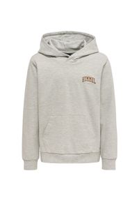 Bluza z kapturem dla dzieci Hummel Fast. Typ kołnierza: kaptur. Kolor: szary