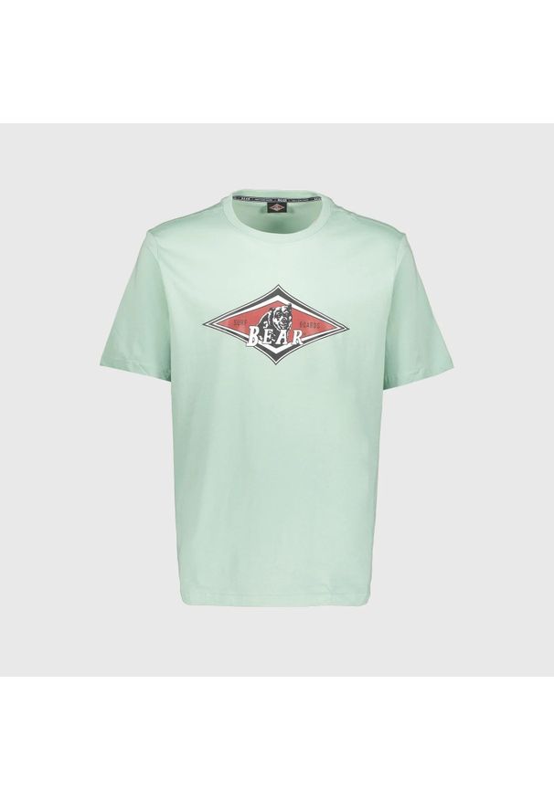 BEAR - Koszulka z niedźwiedziem i dużym logo lichen. Kolor: wielokolorowy. Sport: skateboard