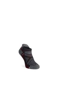 Skarpety turystyczne Smartwool Hike Light Cushion Low Ankle Socks. Kolor: szary