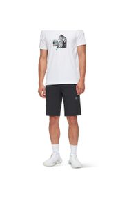 Spodenki turystyczne męskie Mammut Runbold IV Shorts. Kolor: czarny. Sport: turystyka piesza