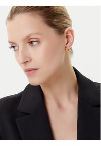 Elisabetta Franchi Kolczyki OR-02A-56E2-240 Złoty. Materiał: metalowe. Kolor: złoty
