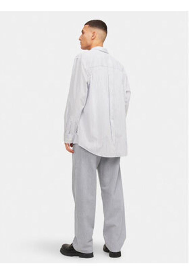 Jack & Jones Jeansy Alex 12249060 Szary Baggy Fit. Kolor: szary