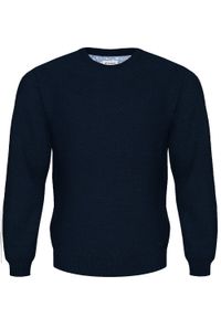 M. Lasota - polski producent - Granatowy półgolf męski kardigan z wełny merino SL05 Antonio. Typ kołnierza: kołnierzyk stójkowy. Kolor: niebieski. Materiał: wełna. Długość: krótkie. Wzór: gładki. Styl: sportowy #1