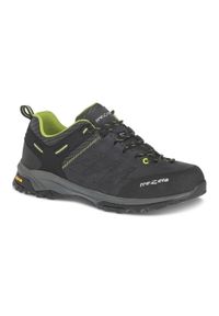 TREZETA - Buty trekkingowe Trezeta Raider WP. Kolor: szary, zielony, wielokolorowy. Sport: turystyka piesza #1