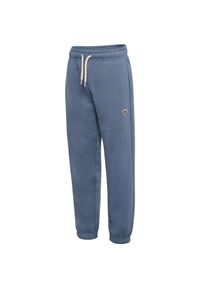 Spodnie dresowe dla dzieci Hummel Bee Loose. Kolor: szary. Materiał: dresówka. Sport: joga i pilates #1