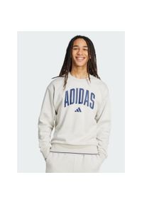 Adidas - Bluza męska adidas Collegiate Sweat szara JM1732 ROZMIAR 2XL. Kolor: beżowy. Materiał: dresówka. Sport: fitness #1