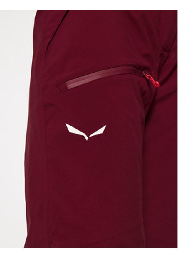 Salewa Spodnie narciarskie Antelao Beltovo Twr Pnt 28252 Bordowy Regular Fit. Kolor: czerwony. Materiał: syntetyk. Sport: narciarstwo