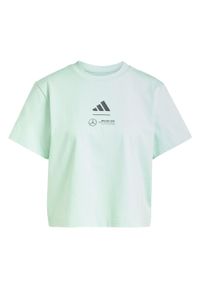 Adidas - Koszulka Mercedes - Amg Petronas Formula One Team Polo. Typ kołnierza: polo. Kolor: zielony, fioletowy, wielokolorowy. Materiał: materiał. Długość: krótkie. Sport: fitness