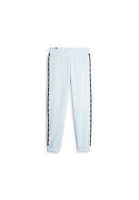 Puma Spodnie Ess Tape Fl Cl 67599969. Kolor: niebieski