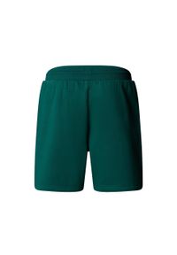 Spodenki sportowe męskie The North Face Box Nse Regular. Kolor: zielony
