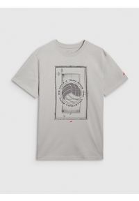 4f - 4F T-shirt regular z nadrukiem męski - szary XXL. Okazja: na co dzień. Kolor: szary. Materiał: bawełna, jersey, materiał. Długość rękawa: krótki rękaw. Długość: krótkie. Wzór: nadruk. Styl: sportowy, klasyczny, casual