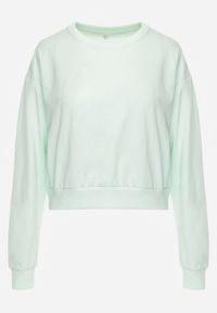 Renee - Miętowa Bluza z Bawełną ze Ściągaczami przy Rękawach i w Pasie Alberia. Kolor: miętowy. Materiał: bawełna #8