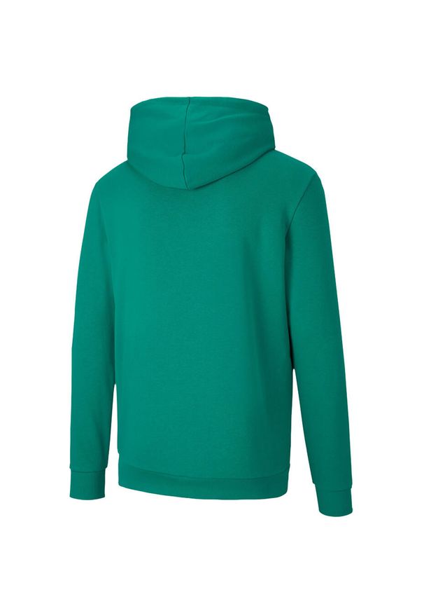 Bluza Puma TeamGoal 23 Casuals męska. Kolor: zielony