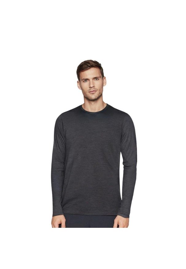 FJORK MERINO - Koszulka z długim rękawem męska 100% wełny merynosów - Finn 210. Kolor: szary. Materiał: wełna. Długość rękawa: długi rękaw. Długość: długie
