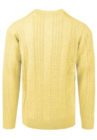 Lekki, Męski Sweter Bawełniany - Pako Jeans - Żółty, Faktura Materiału. Okazja: na spotkanie biznesowe, do pracy. Kolor: żółty, złoty, wielokolorowy. Materiał: bawełna. Styl: biznesowy, klasyczny #5