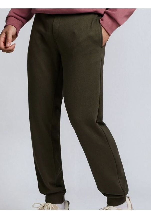 Sinsay - Spodnie jogger slim fit - zielony. Kolor: zielony