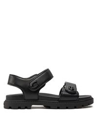 Sandały Coach. Kolor: czarny #1