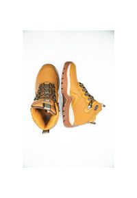 DC Shoes - Buty męskie DC Navigator Winter. Kolor: brązowy. Sport: turystyka piesza
