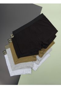 Sinsay - Bokserki Classic 5 pack - zielony. Kolor: zielony. Materiał: bawełna, elastan