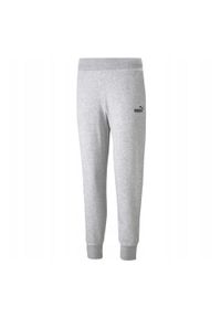 Puma - Damskie Spodnie Dresowe Essential. Kolor: szary. Materiał: dresówka. Sport: turystyka piesza